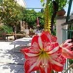 Sopra Il Borgo Oda ve Kahvaltı