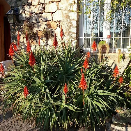 Sopra Il Borgo