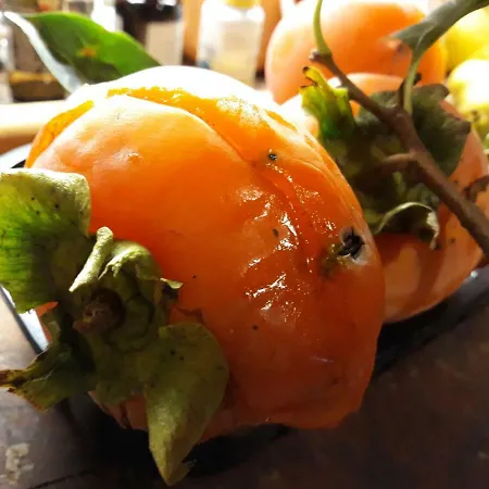 Sopra Il Borgo Bed & Breakfast Finale Ligure