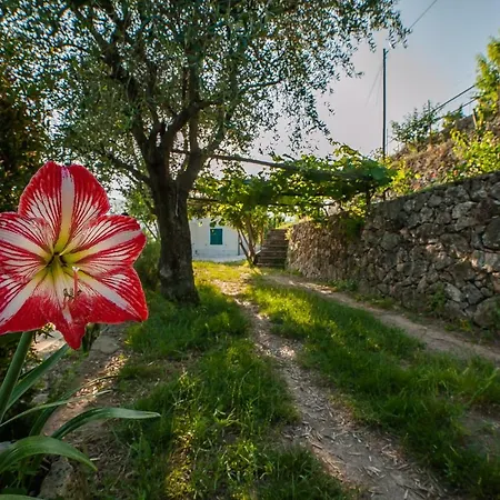 Sopra Il Borgo