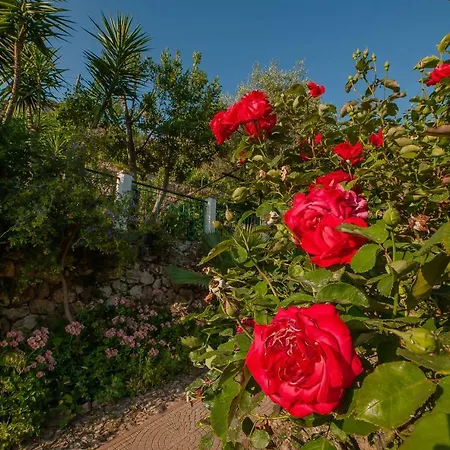 Sopra Il Borgo Bed & Breakfast 3*