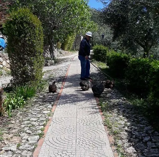 Couette-café Sopra Il Borgo Finale Ligure