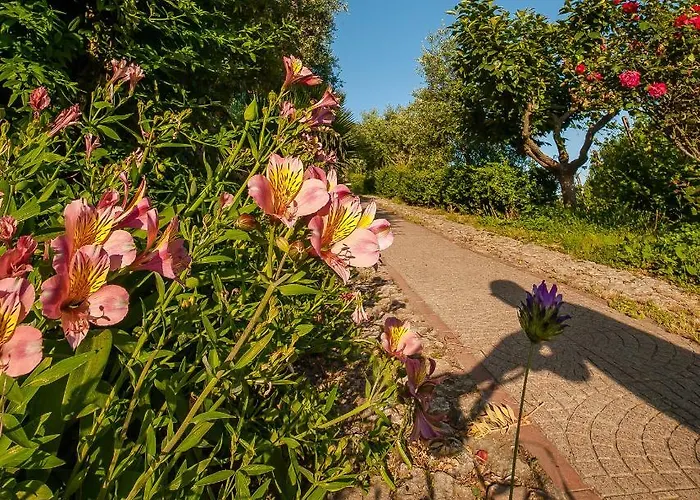 Couette-café Sopra Il Borgo 3*