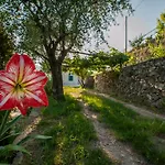 Sopra Il Borgo