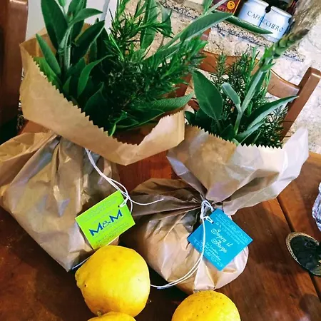 住宿加早餐酒店 Sopra Il Borgo 3*