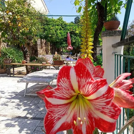 Sopra Il Borgo לינה וארוחת בוקר