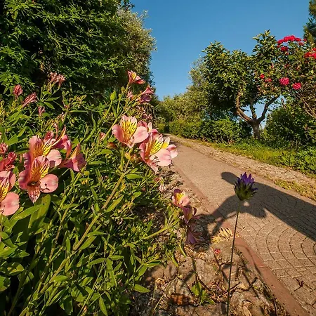 住宿加早餐酒店 Sopra Il Borgo 3*