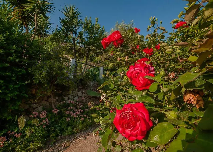 Sopra Il Borgo Отель типа 